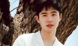 娱乐圈爆料刘昊然是谁啊,揭秘刘昊然背后的故事